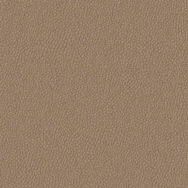 CAPPUCINO