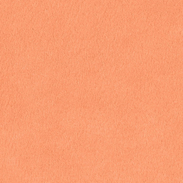 SAUMON - RECYCLED SELECTION
