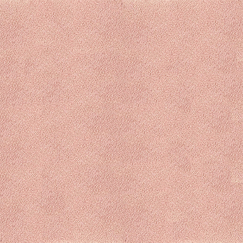 ALCANTARA BLOOM