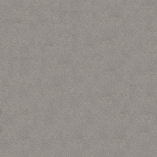ALCANTARA SILVER