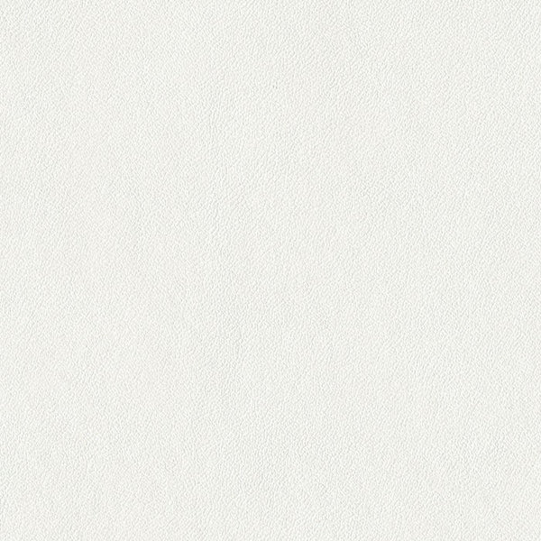 NEIGE