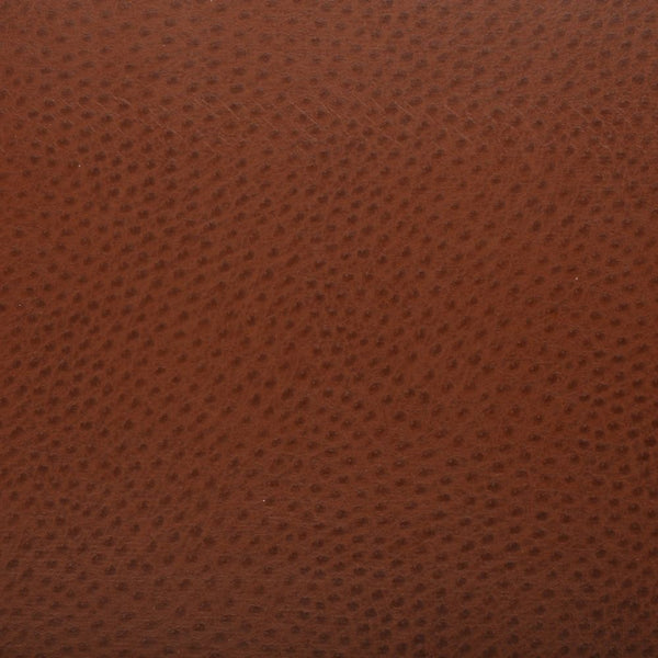 BROWN OSTRICH